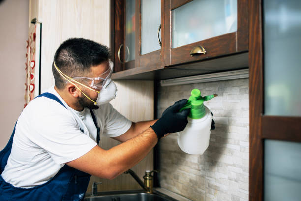 Best Pest Prevention Services  in Hawaiian Acres, HI