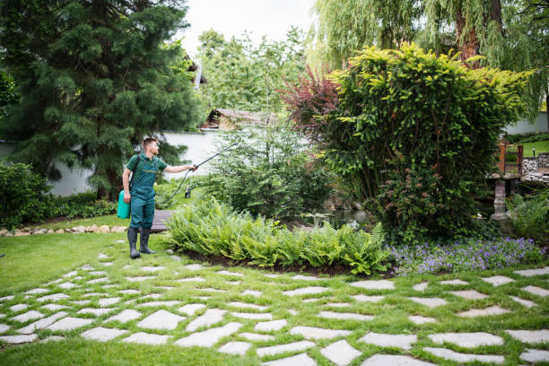 Best Ant Control Services  in Hawaiian Acres, HI