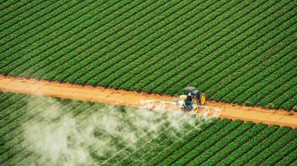 Best Commercial Pest Control Services  in Hawaiian Acres, HI
