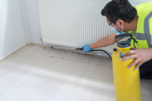 Best Local Pest Control Services  in Hawaiian Acres, HI